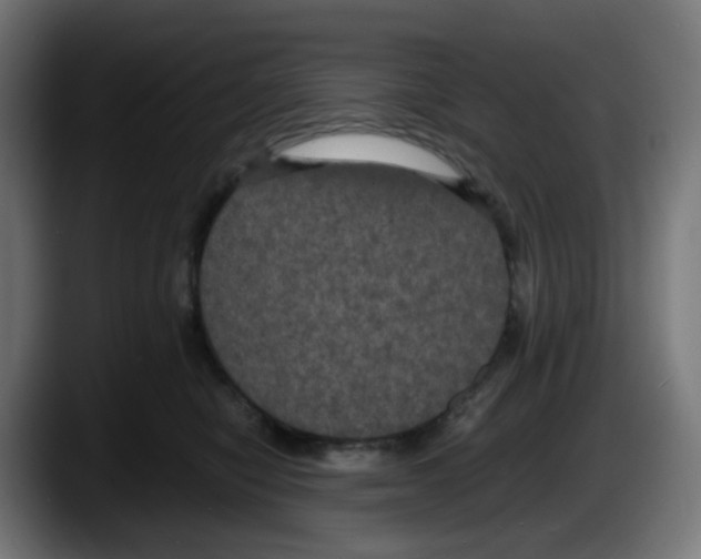 X0000087540470200705251724