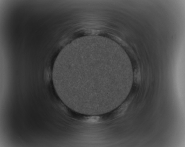 X0000087540474200705251724