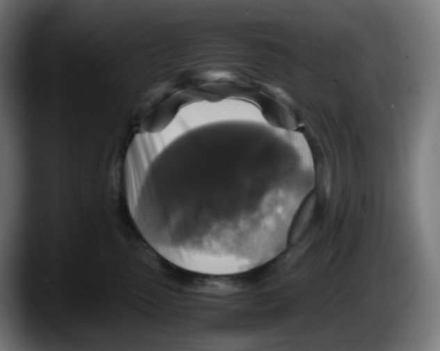 X0000087540475200705251724