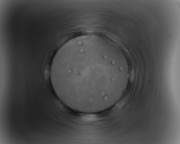 X0000087540476200705251724