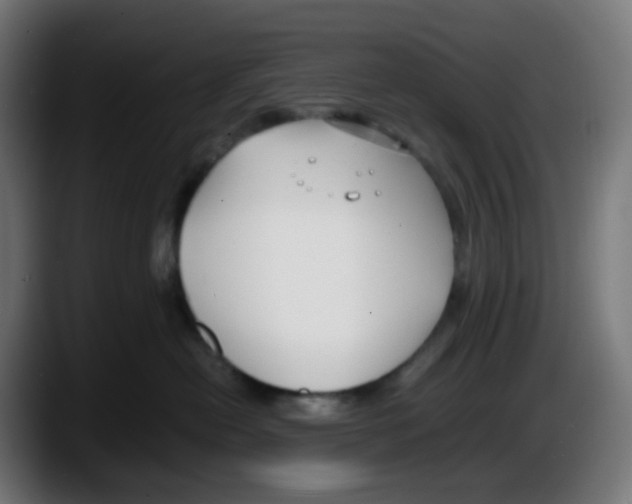 X0000087540478200705251724