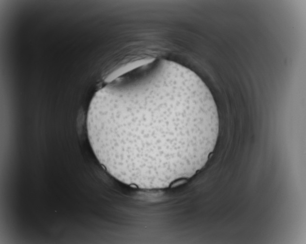 X0000087540480200705251724