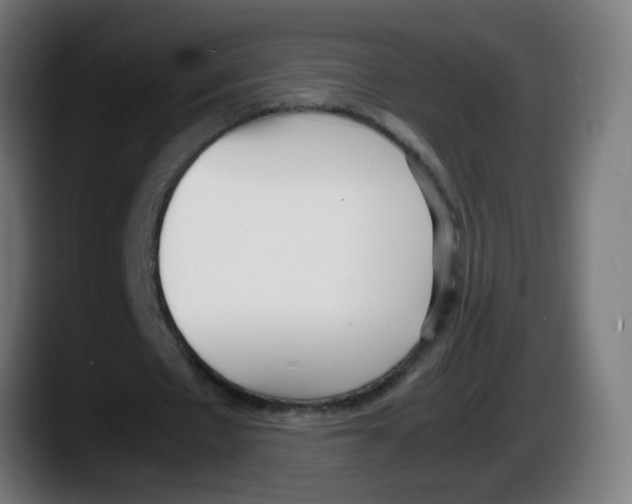 X0000087540481200705251723