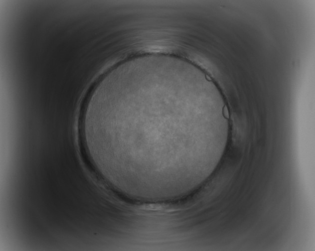 X0000087540482200705251723