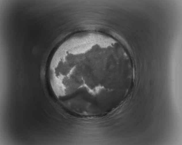 X0000087540483200705251723