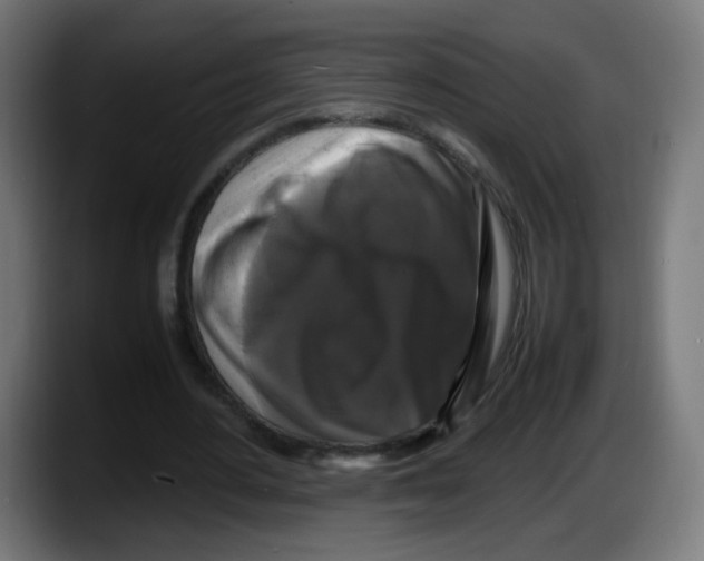 X0000087540484200705251723