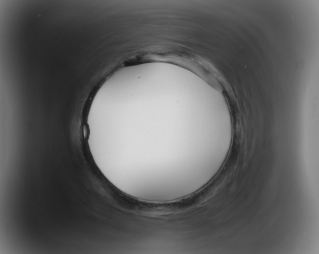 X0000087540485200705251723