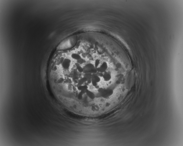 X0000087540487200705251723