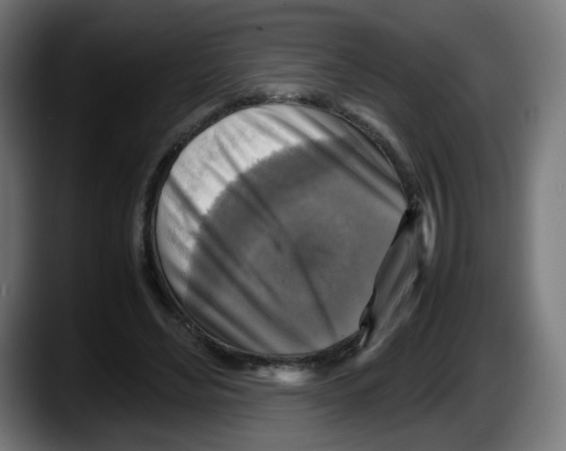 X0000087540492200705251723