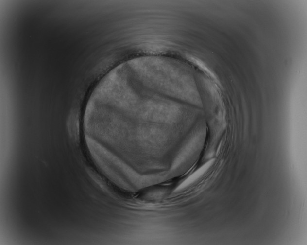 X0000087540493200705251723