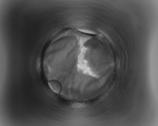 X0000087540494200705251723