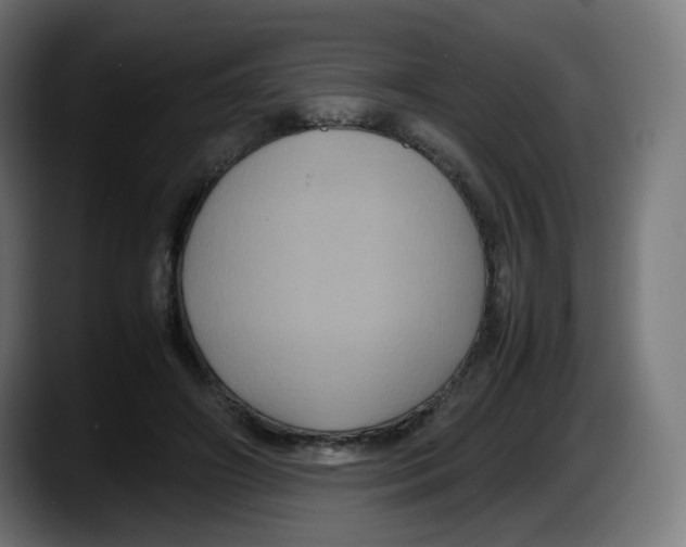 X0000087540498200705251723