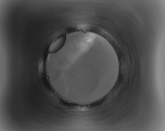 X0000087540502200705251723