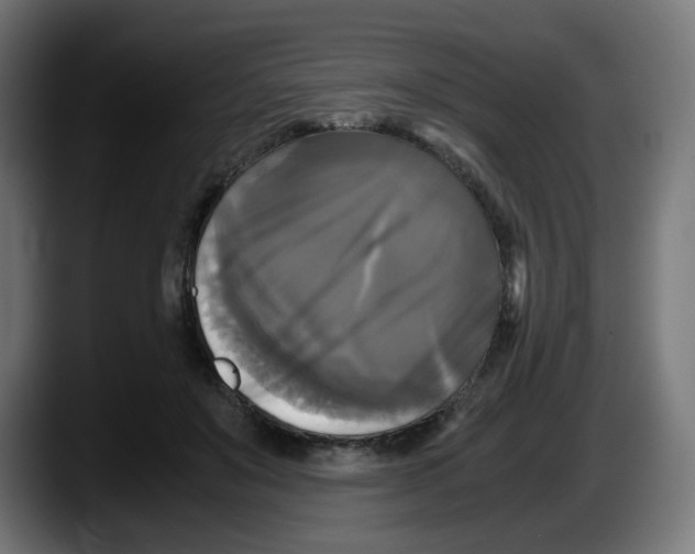 X0000087540503200705251723