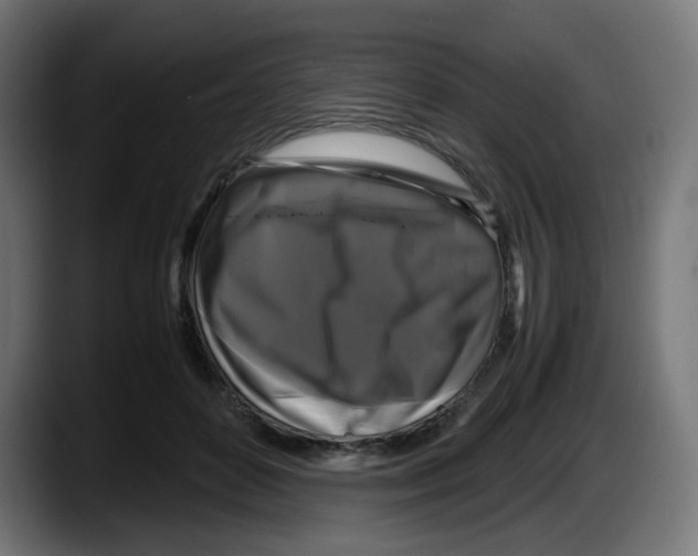 X0000087540504200705251723