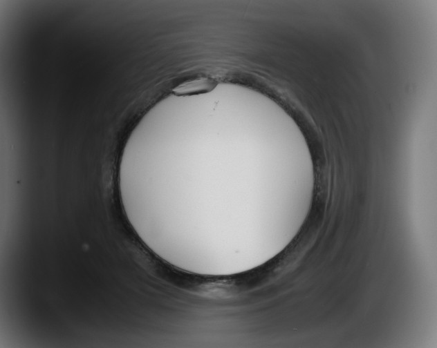 X0000087540505200705251723