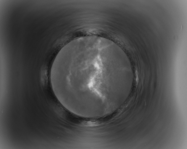 X0000087540506200705251723