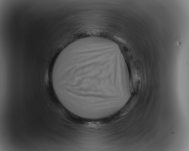 X0000087540508200705251723