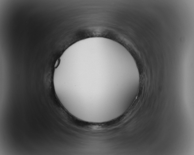 X0000087540509200705251723