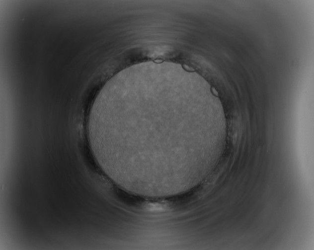 X0000087540510200705251723