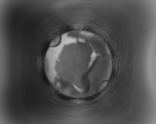 X0000087540511200705251723