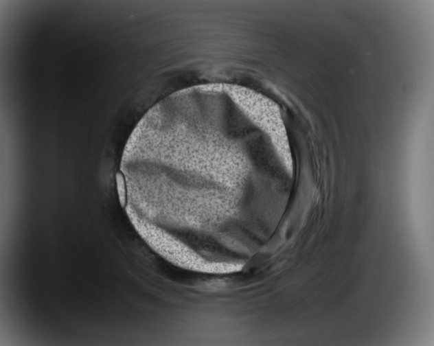 X0000087540513200705251723