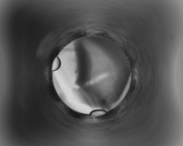 X0000087540519200705251723