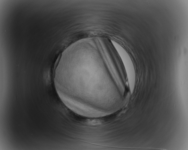 X0000087540520200705251723