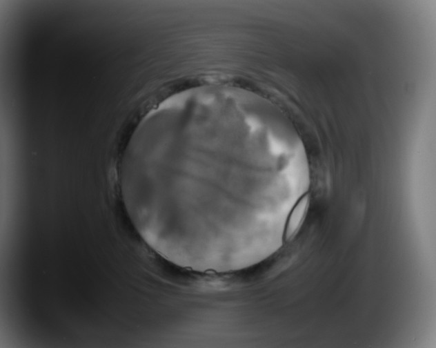 X0000087540523200705251722