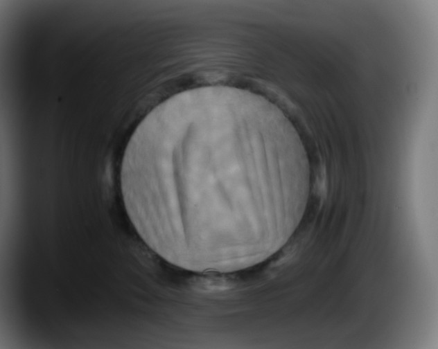 X0000087540524200705251722