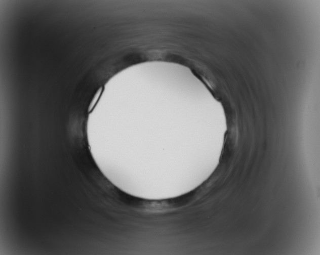 X0000087540525200705251722