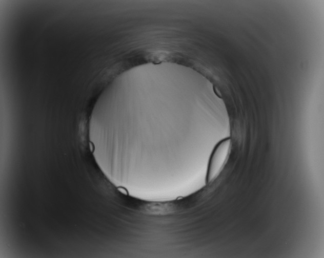 X0000087540526200705251722