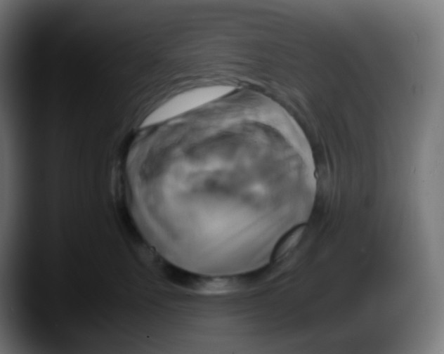 X0000087540527200705251722