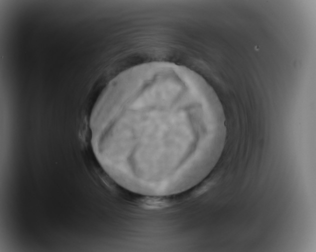 X0000087540528200705251722