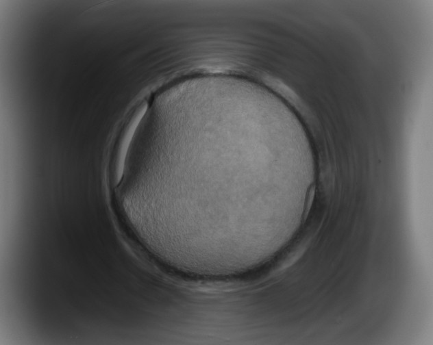 X0000087540530200705251722