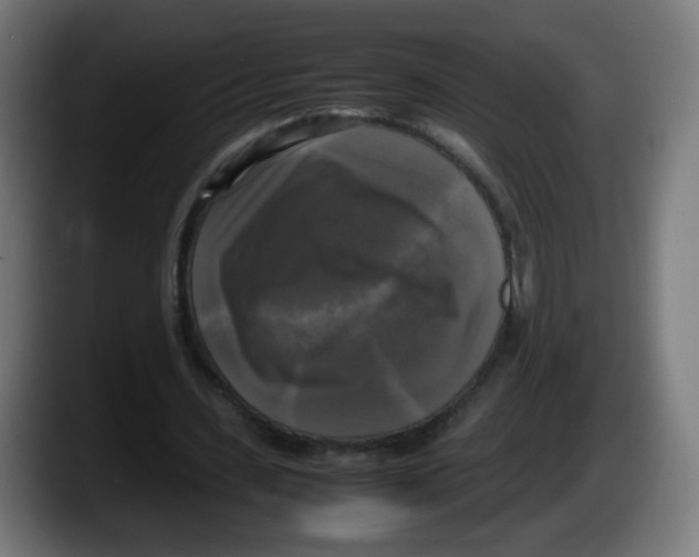 X0000087540531200705251722