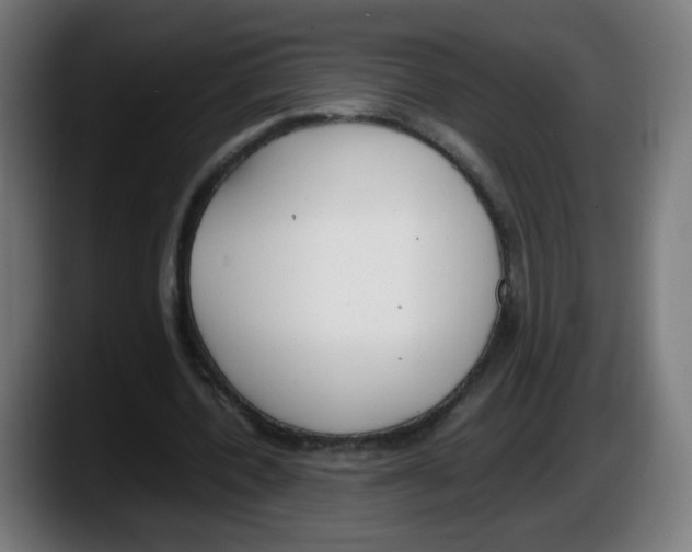 X0000087540532200705251722