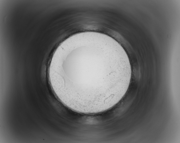 X0000087540534200705251722