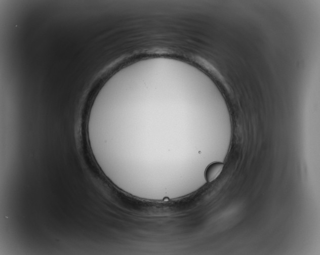 X0000087540535200705251722