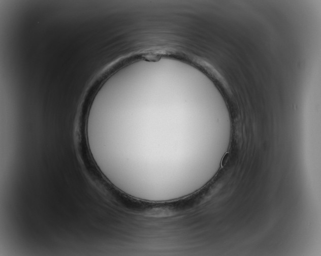 X0000087540536200705251722