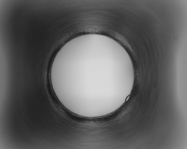 X0000087540538200705251722