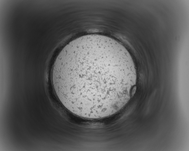 X0000087540539200705251722