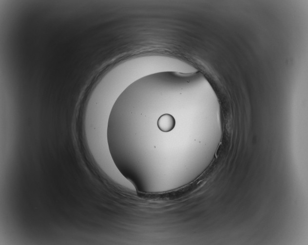 X0000087540540200705251722