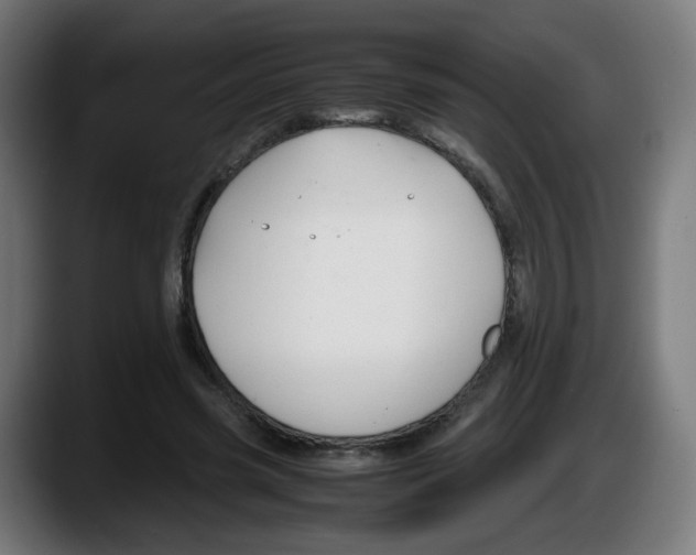 X0000087540541200705251722