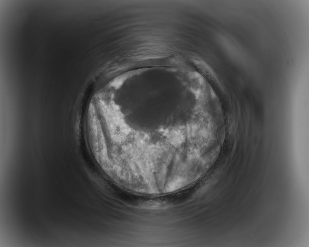 X0000087540542200705251722