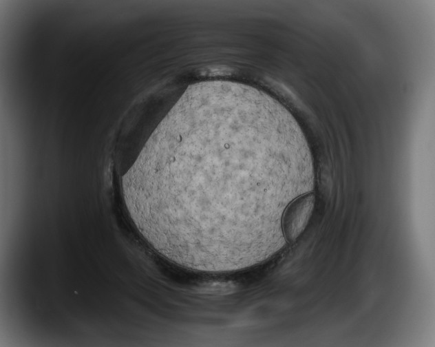 X0000087540543200705251722