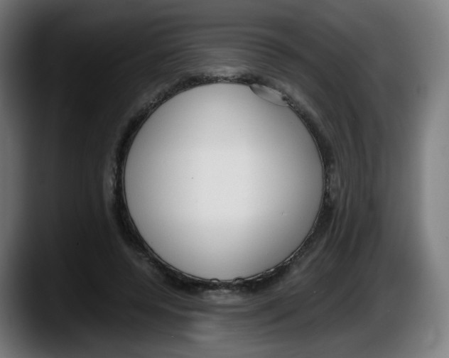 X0000087540544200705251722