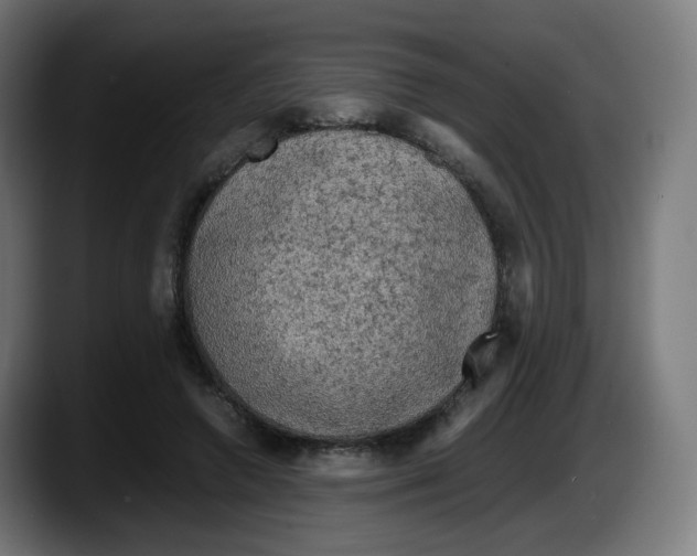 X0000087540546200705251722