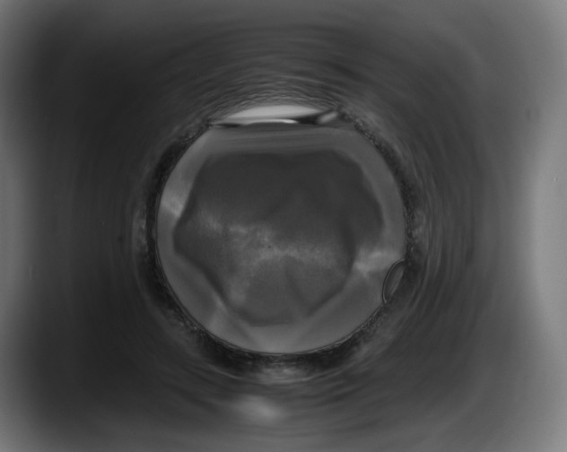 X0000087540547200705251722