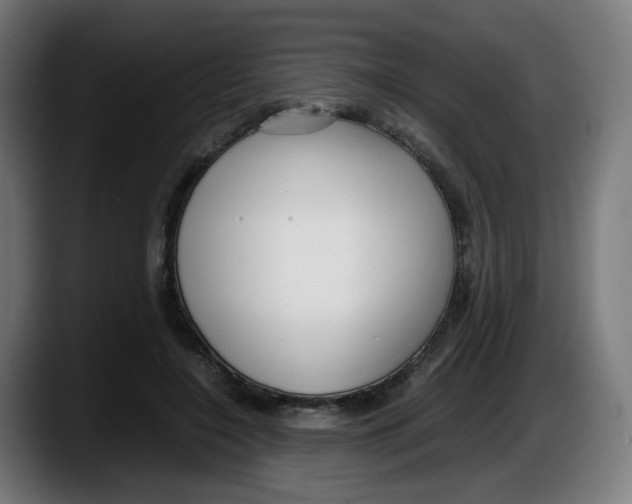 X0000087540548200705251722